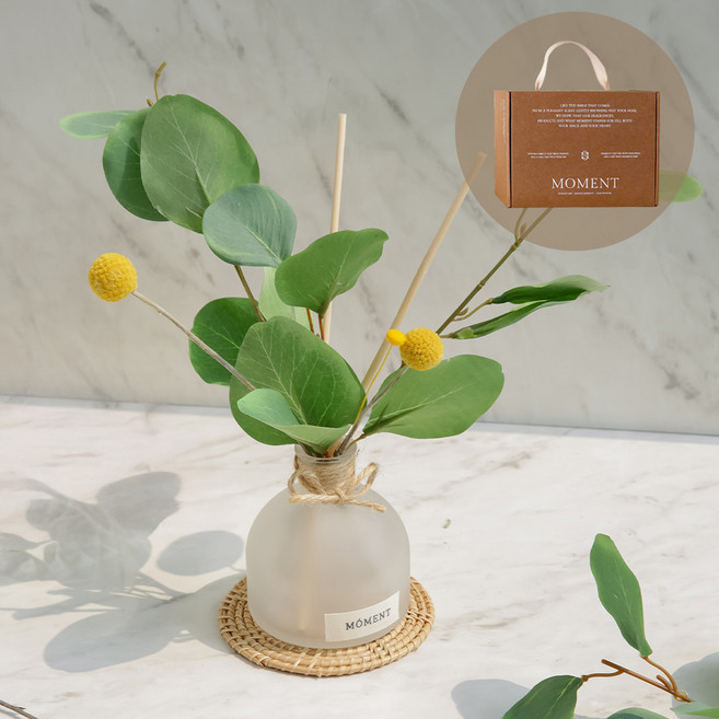 모먼트 골든볼 프리미엄 디퓨저 실내 방향제 선물 세트 쇼핑백 160ml, 프레쉬 그레이프룻 (헤스페리데스 향), 1개