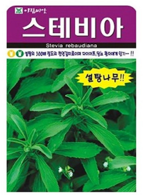 아람종묘 허브 스테비아 씨앗, 2개