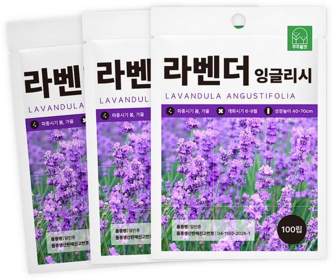 [주주씨앗] 잉글리쉬라벤다 100립 3봉세트 잉글리쉬라벤더 라반딘 꽃씨 허브 종자 씨앗, 3개