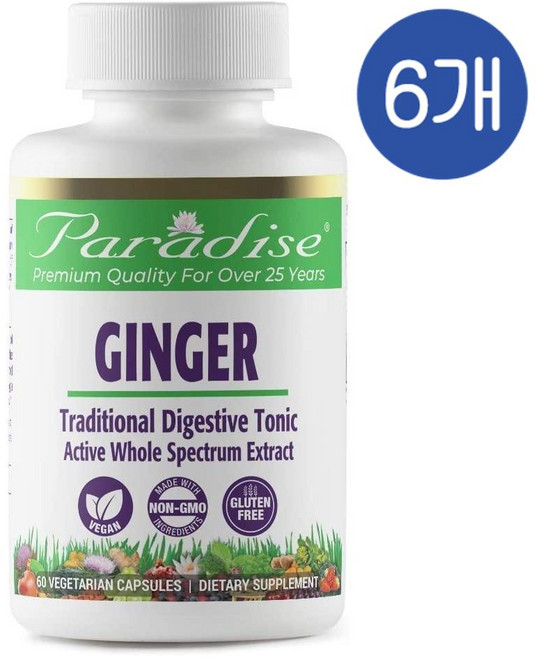 파라다이스허브 진저 생강 추출물 비건 캡슐 Paradise Herbs Ginger Extract, 6개, 60정