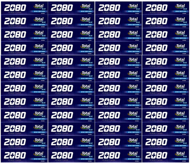 2080 시그니처 토탈 블루 치약 4입, 12개