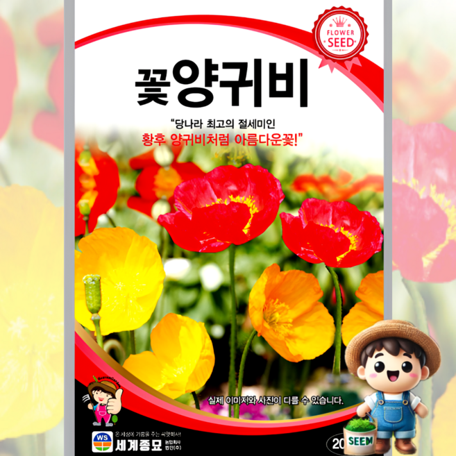 남흥원예사 꽃양귀비 2000립 원예 관상 조경 화단 용 꽃 씨 씨앗 종자 세계종묘, 1개