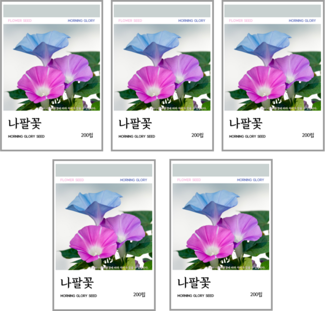 새싹바라기 나팔꽃 씨앗 200립, 5개