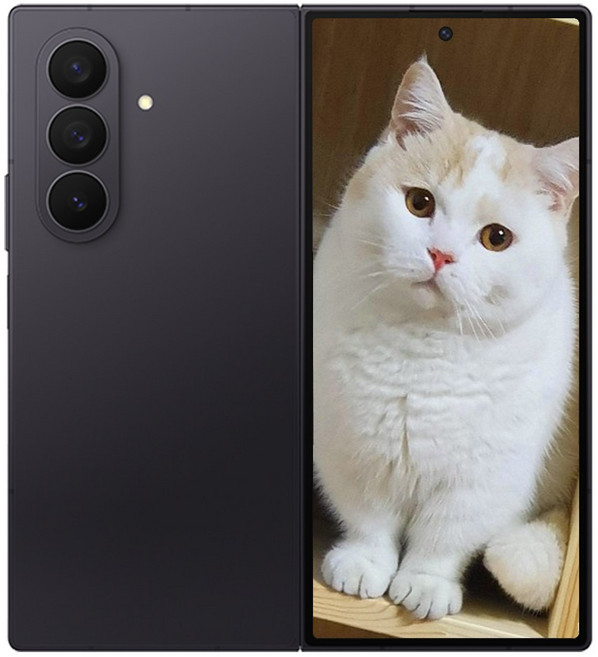 삼성전자 갤럭시 Z 폴드7, 256GB, 제트 블랙 Jet Black 옵션
