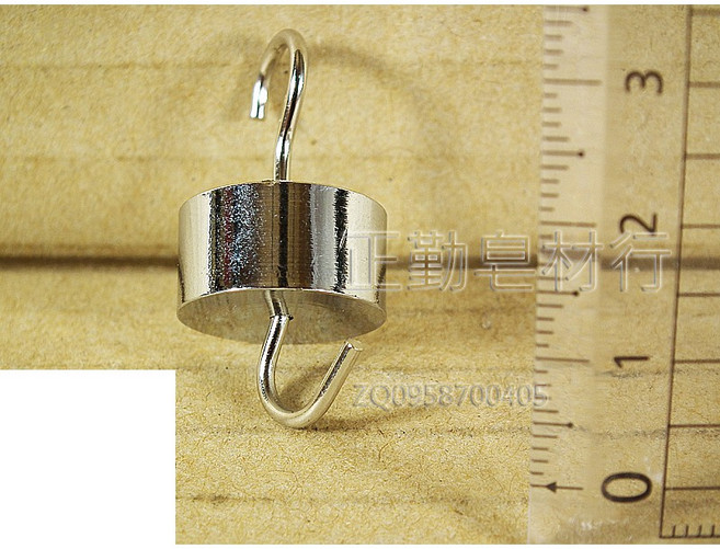 正勤 帶鉤砝碼 20g, 1個