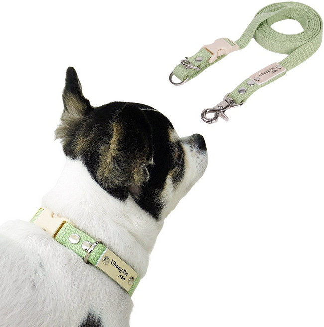 [패키지할인] [목줄 무료이름각인] 순면 강아지 고양이 목줄 + 핸즈프리 리드줄 세트, M (20mm), 20mm2.5M, 밀크그린, 1개