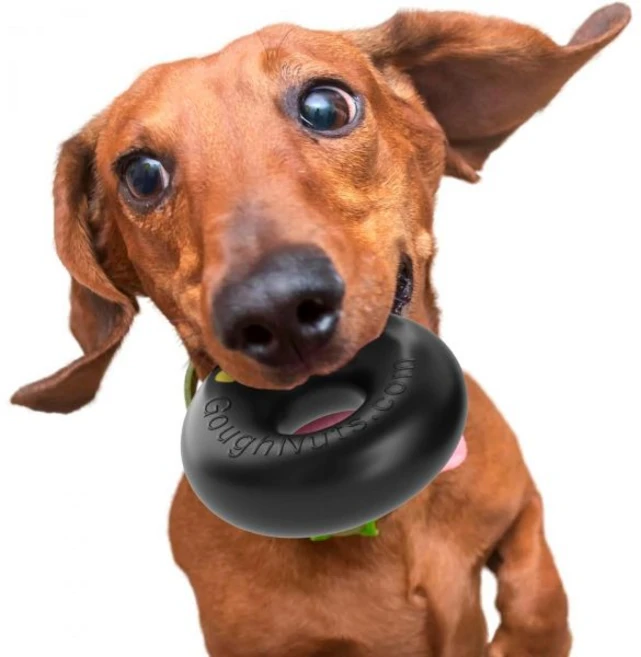 고넛 개 간식 장난감 먹기 위해 노력 공격적인 씹는 사람을 위한 사실상 파괴 불가능한 고무 디스펜싱 정신적 풍요 공급 장치 및 대형견을 충전 가능한 씹기 동결 가능 미국산, Tougher Pro 50, Small - 쿠팡