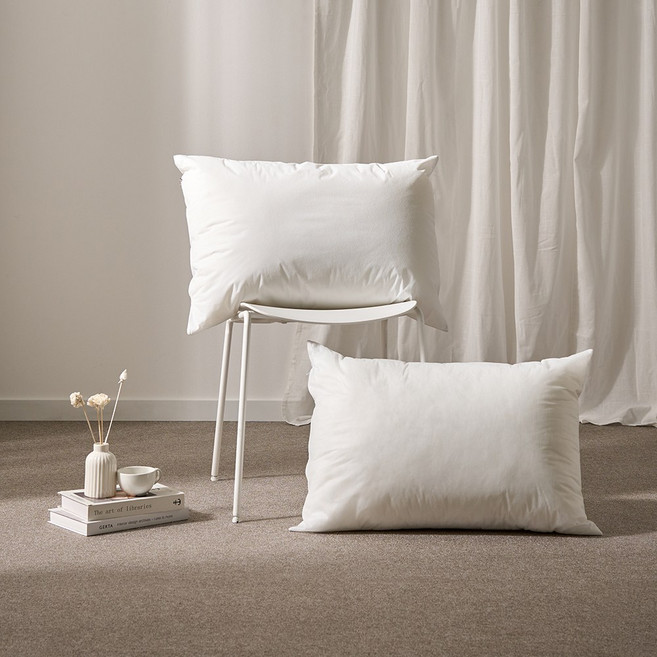 아띠랑스 국내생산 프리미엄 워터쉴드 방수 베개솜, 2개, 화이트