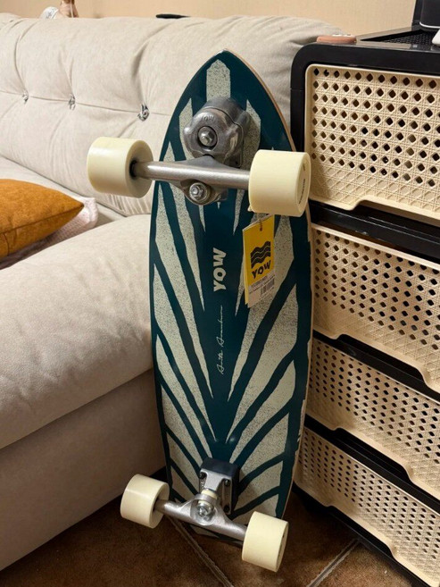 專業小魚板 陸地衝浪板 滑板 刷街 初學者 衝浪滑雪練習板, 如圖所示, 1個