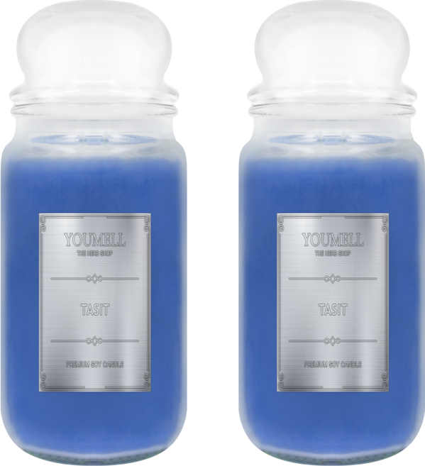 유멜 소이캔들 567g, 2개, 567L, 테싯