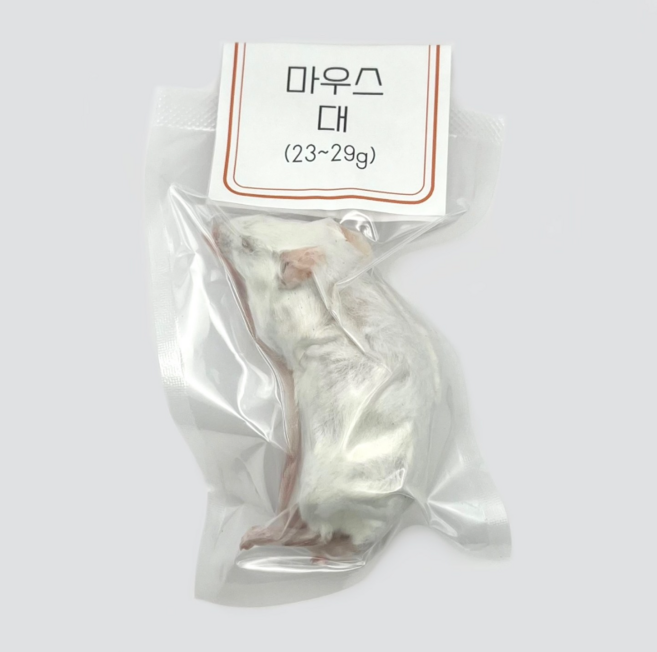 <쥐선생>냉동마우스 1마리 단품 [대] 23~29g(진공포장), 1개, 26g