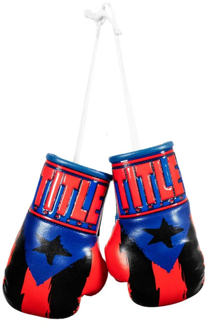 타이틀 미니 복싱글러브 / 권투 킥복싱 UFC MMA 키링, 5인치 블랙/레드/블루, 1개