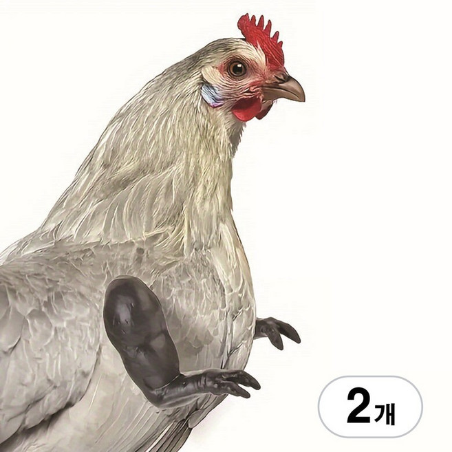 BenF Home 닭 티라노 팔 앞다리 공룡 근육 악세사리 장식 소품 꾸미기 애완 동물 장난감, 2개, 블랙