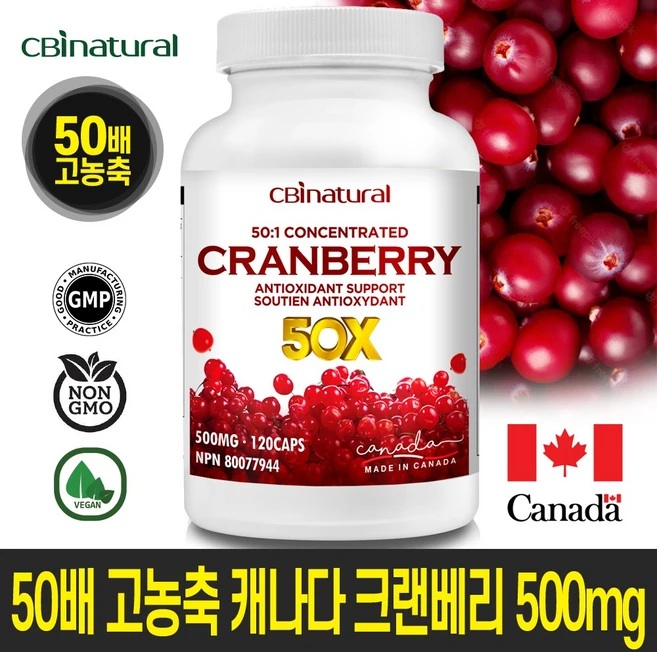 50배 고농축 캐나다 크랜베리 500mg 120캡슐 4개월 캐나다생산 본사직발송 캐나다식약청 GMP/NPN 인증, 120정, 1개 - 쿠팡