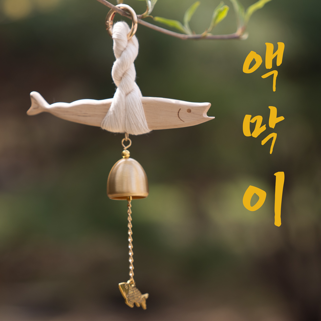 지오리치 액막이 명태 집들이 선물, 베이지