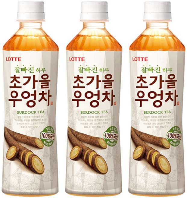 롯데칠성 초가을우엉차 500ml, 24개
