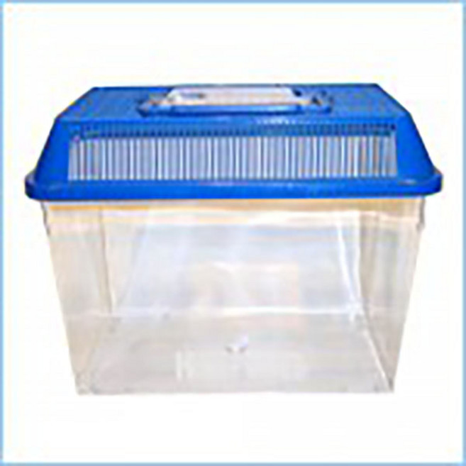 대일 채집통 중 레드 블루, 1개