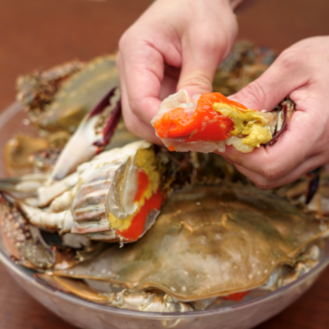 K-꽃게 어부가 직접 판매하는 급냉 봄 암꽃게, 1개, 1kg(4~5미)