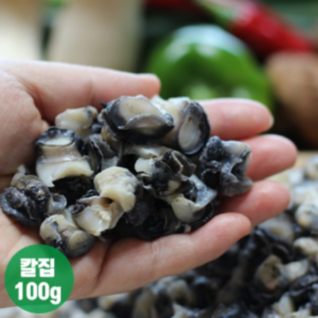 정옥 칼집우렁이, 5개, 100g