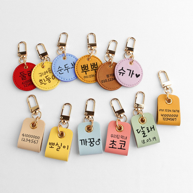 구바스 강아지 고양이 인식표 목걸이 이름표 네임택, B형 M, 가죽목걸이M, 1개