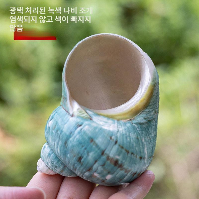 장식용 소라껍질 나팔고둥 어항 바닷소리 껍데기 대형
