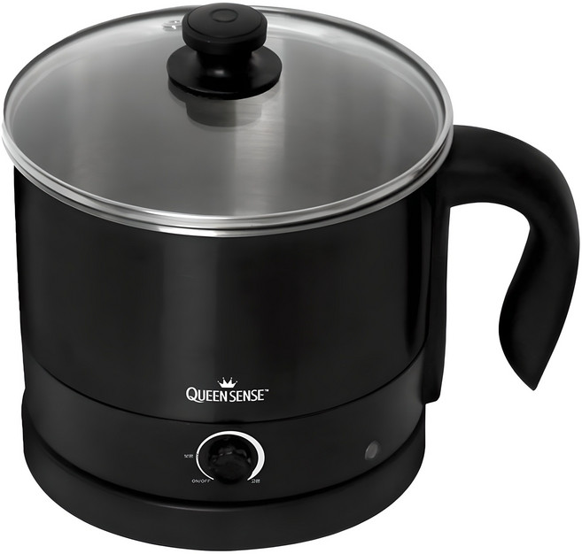 퀸센스 스테인리스 스틸 멀티 전기 포트, QSMP-M48