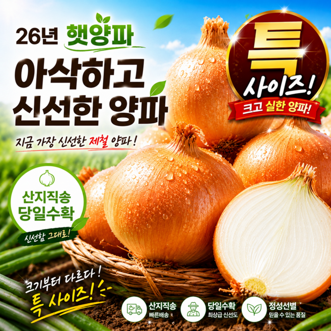 [위드윈] 특품선별 햇살담은 달달아삭 햇양파, 1개, (특) 3kg