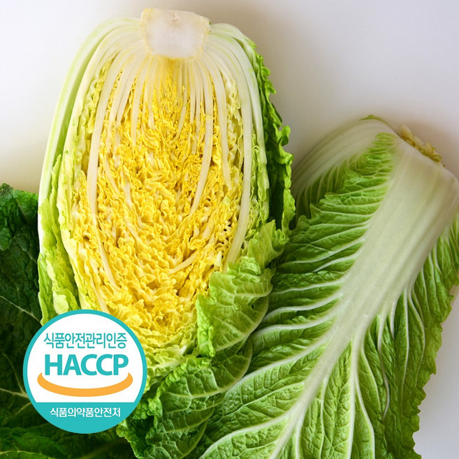 [예약판매] 해썹인증 강원도 절임배추 김장 김치 20 인제, 01. *연중출하(받을날짜기입요망,5일후이상), 1박스, 20kg