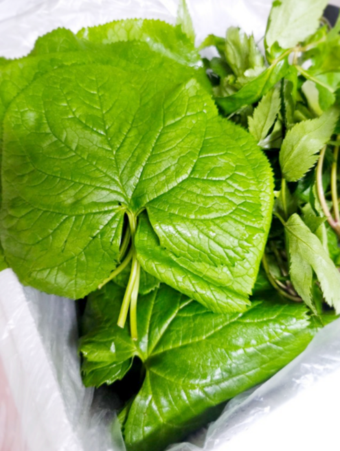 국내산 산지직송 생 곰취나물 제철 봄나물 제철나물 생곰취 곤달비 생곰취, 1개, 1kg