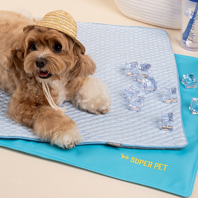 도그아이 반려동물 엠보싱 쿨매트 3종 세트, 1세트