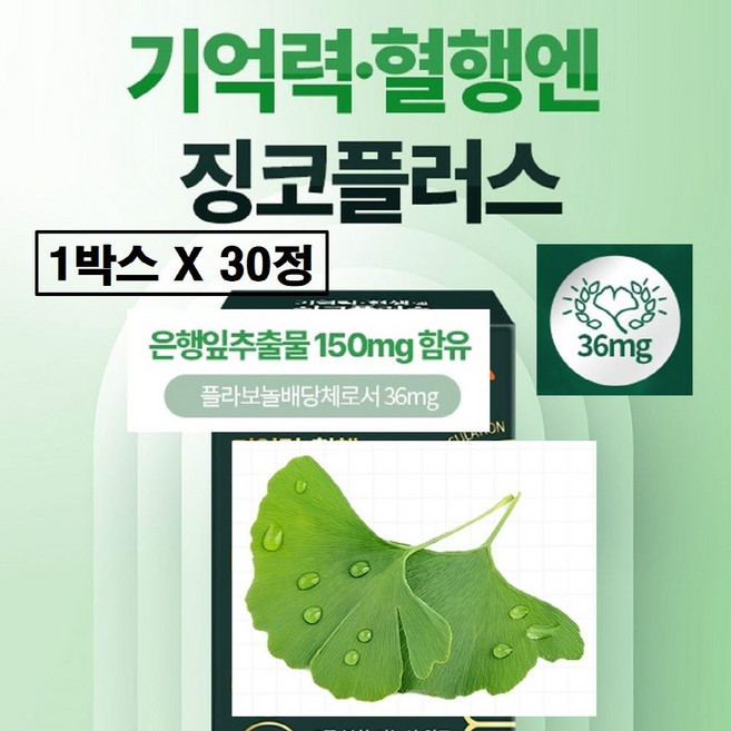 징코 은행잎추출물 플러스 빌로바 빌리프 150mg 맥스 플라보놀 배당체 36mg 기억력 혈행엔 혈앵 케어 혈행개선 브레인 메모리 프리미엄 식약청인증 식약처 인정 여성 남성 추천, 1박스, 30회분