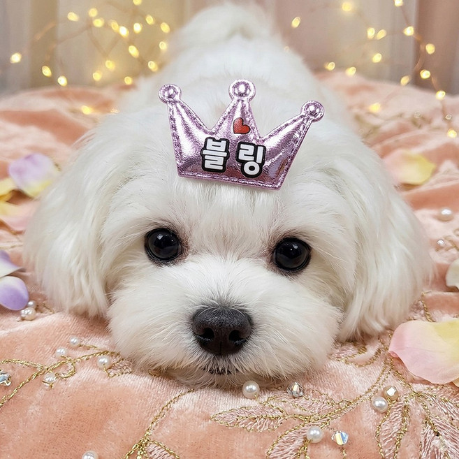 강아지 이름 왕관 머리핀 주문제작 애견 네임핀, 1개, 핑크