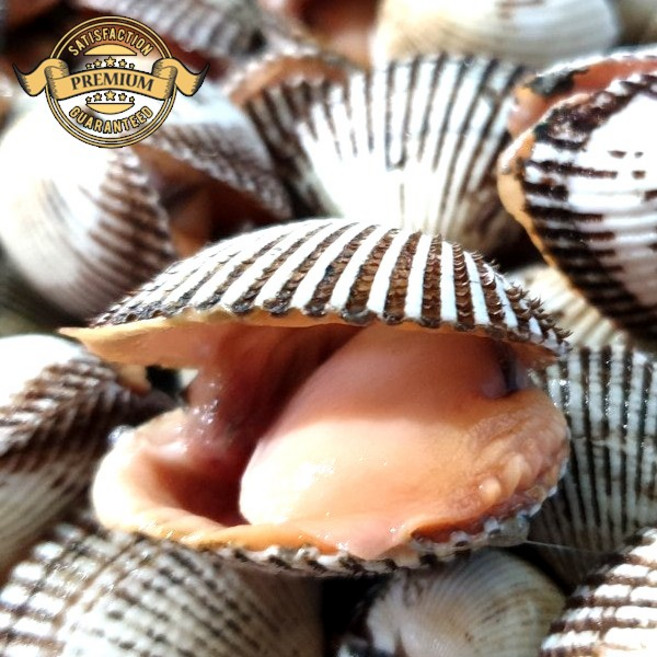 [실패없는 가정용 가성비 좋은 새꼬막]벌교 국내산 식당 가정용 새꼬막 벌교 새꼬막 가성비 질 보장, 1박스, 정품 가성비 새꼬막 3kg