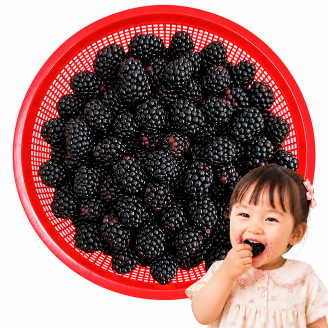 [한정특가] 산지직송 고창 토종 복분자 냉동, 1박스, 5kg (상품)