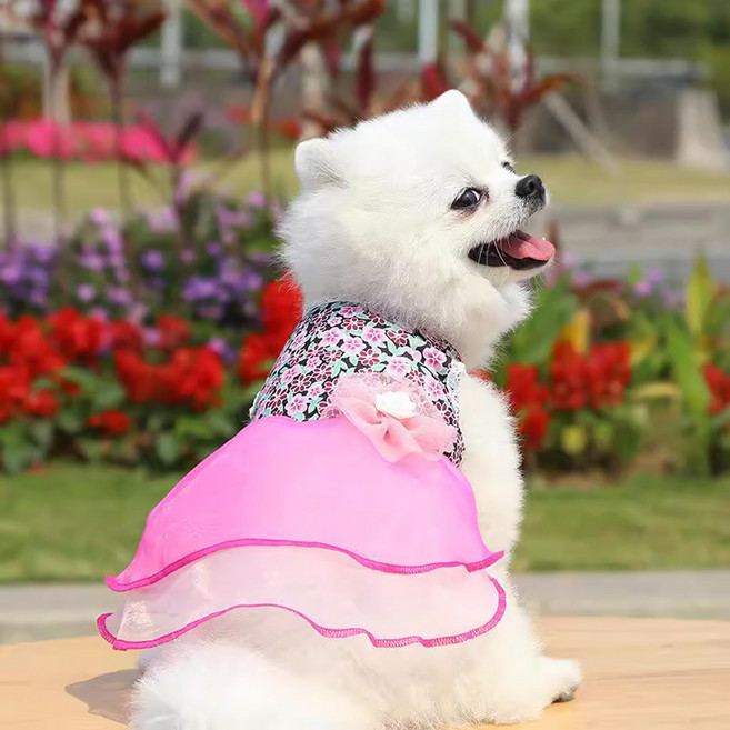강아지 한복 고양이 설빔 원피스 코스튬 설날 옷 호랑이마켓, 1개, 핑크