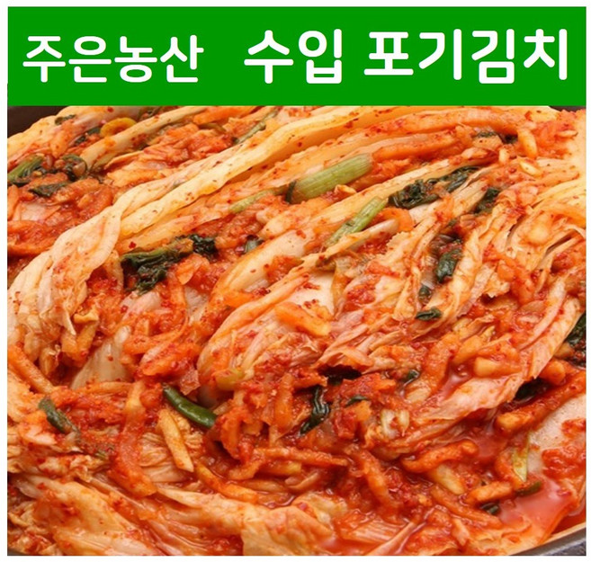 [수입김치] 가락시장 김치전문점 주은농산 업소용 CJ지도생산 농촌 포기김치 10kg (무료배송), 아이스박스 포장, 1개