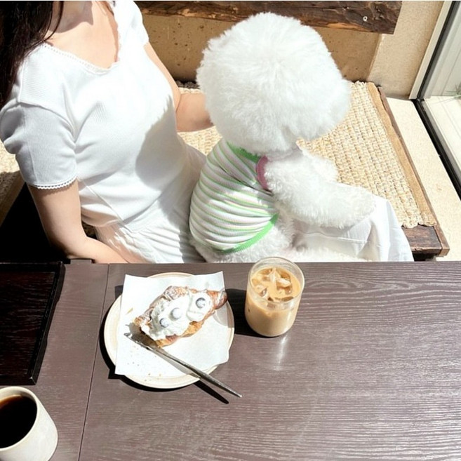멍멍 스트라이프 쿨탱크 강아지옷 강아지나시티 티셔츠, 1개, 그린