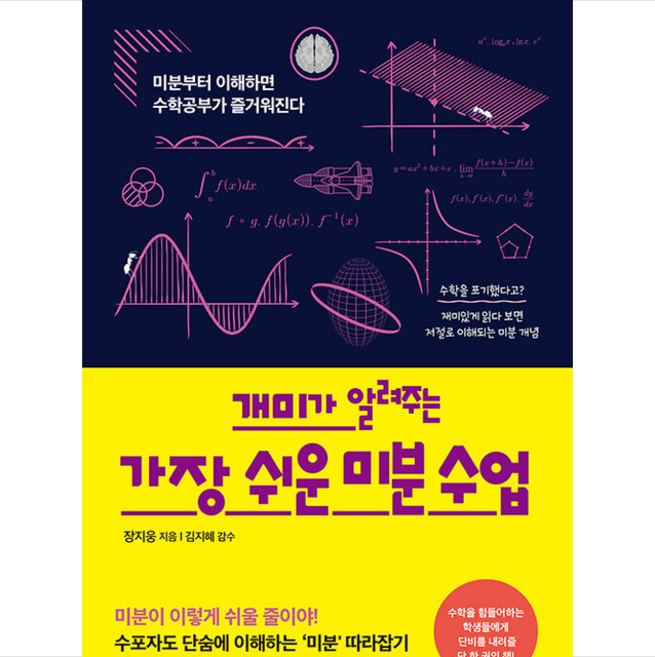 개미가 알려주는 가장 쉬운 미분 수업 + 미니수첩 증정, 장지웅, 미디어숲