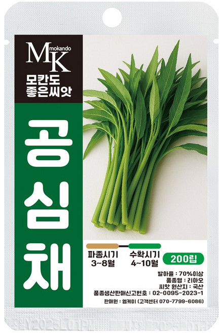 모칸도 좋은씨앗 공심채 씨앗 모닝글로리 200립 잎줄기 채소 씨앗, 1개