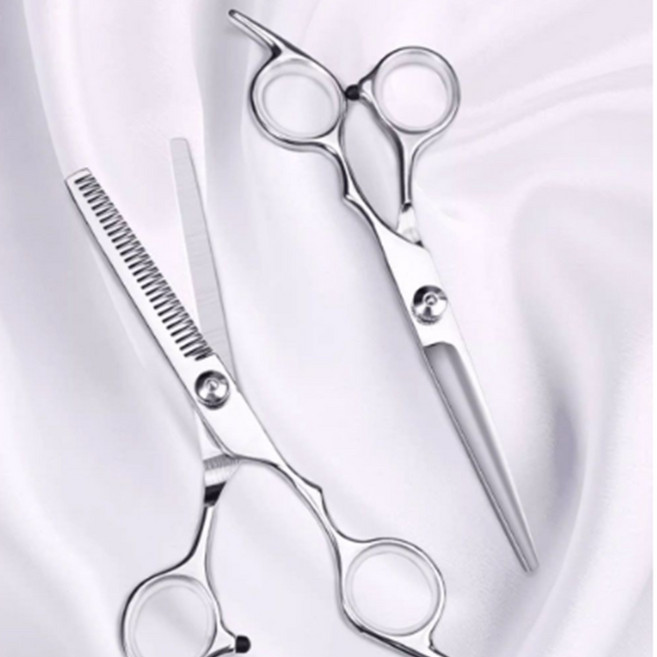 헬라쓰 잘 잘리는 전문가용 미용 가위, 2개, 실버
