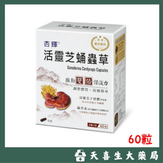 杏輝 活靈芝蛹蟲草膠囊 60顆 調整體質 滋補強身, 1個