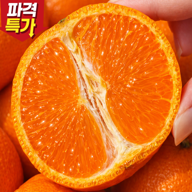 [초특가할인] 귤의여왕 고당도 제주 카라향, 1박스, 카라향 2kg