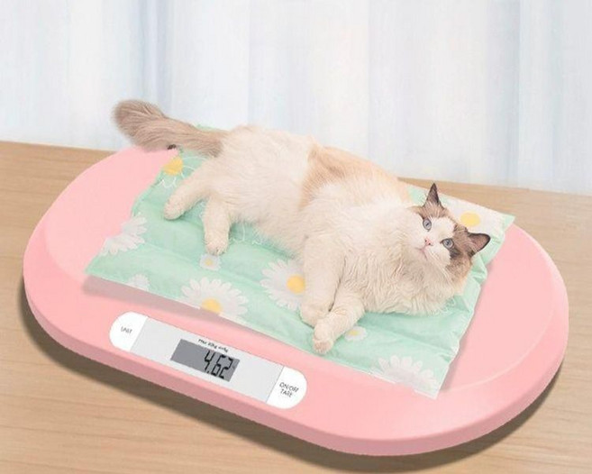 강아지 체중계 동물병원 고양이 반려견 대형견용 대형견 동물 반려묘, E. 하중 5kg - 소형 전용