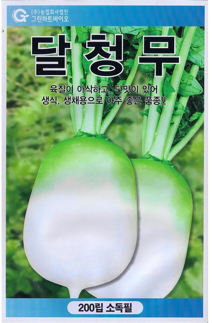 달청무 200립 아삭한 육질 달고 단단한 생식 생채용 무, 1개, 200정