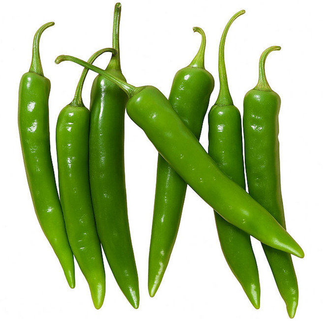 더좋은 국내산 청양고추 땡초 직접재배, 1개, 1kg