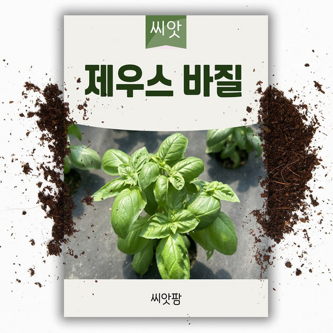허브 제우스 바질씨앗 3g 허브 키우기 제노베재 바실 씨앗 종자