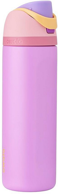 Owala 해리 포터 FreeSip 단열 스테인리스 스틸 물병 빨대 포함 BPA 프리 스포츠 여행에 적합 709.8ml(24온스) 래번클로 390482, Disney Princess, Rapunzel