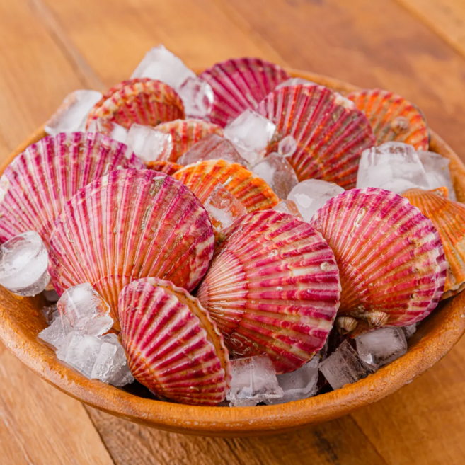 [산지직송] 통영 홍가리비 관자 가득 찜 구이 끝판왕, 1박스, 1kg