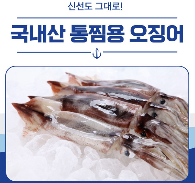 동해안 생물 통 오징어. 통찜 볶음, 1개, 1kg (7~8미)