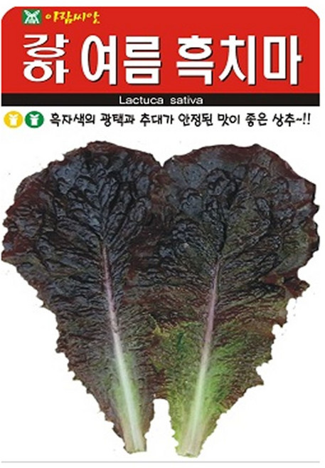 아람종묘 강하 여름흑치마 상추 씨앗 2000p, 1개